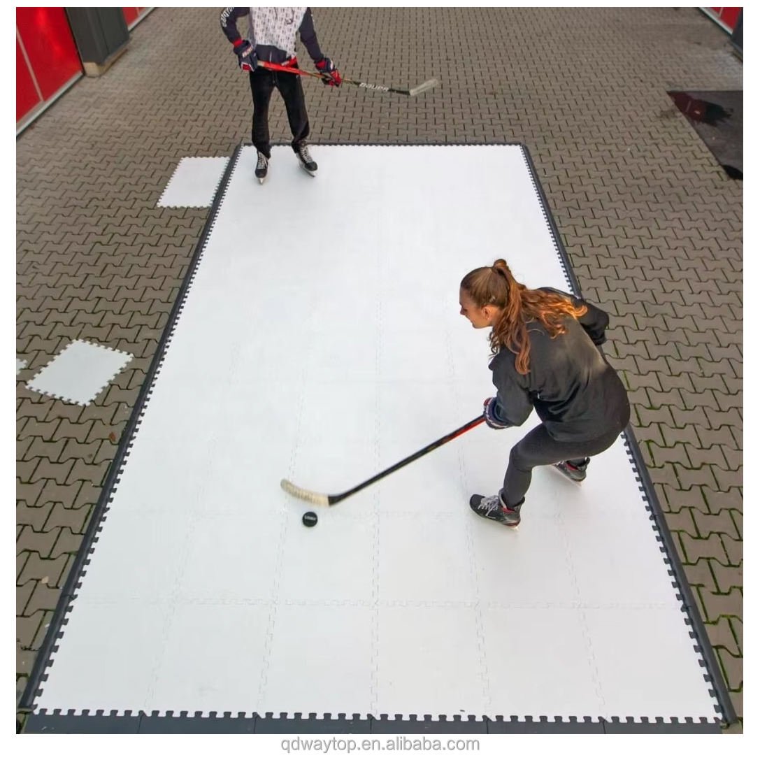 Synthetic Ice Rink